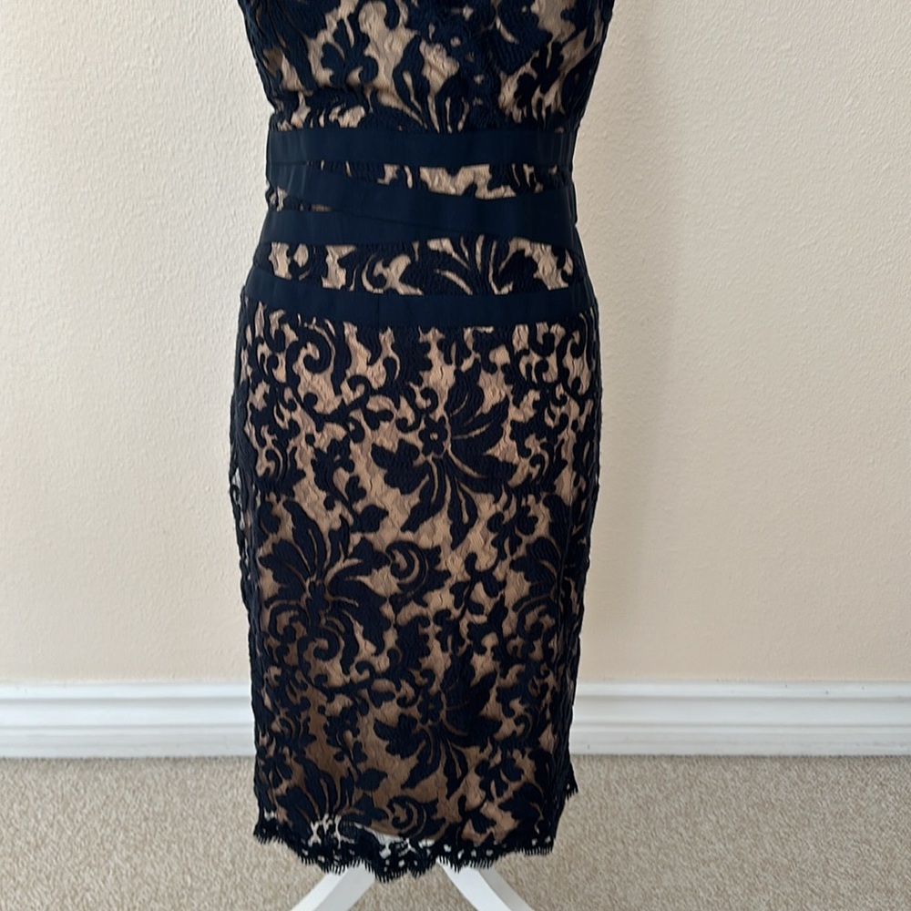 Tadashi Shoji Lace Scalloped Dress - Picture 3 of 7